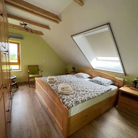 Apartma Ana In Manca Begunje na Gorenjskem Buitenkant foto