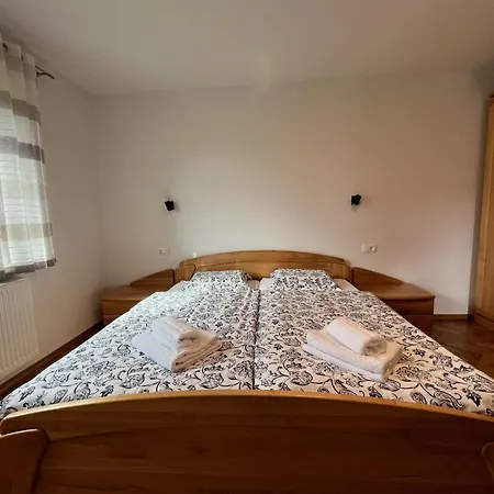 Apartma Ana In Manca Begunje na Gorenjskem Buitenkant foto