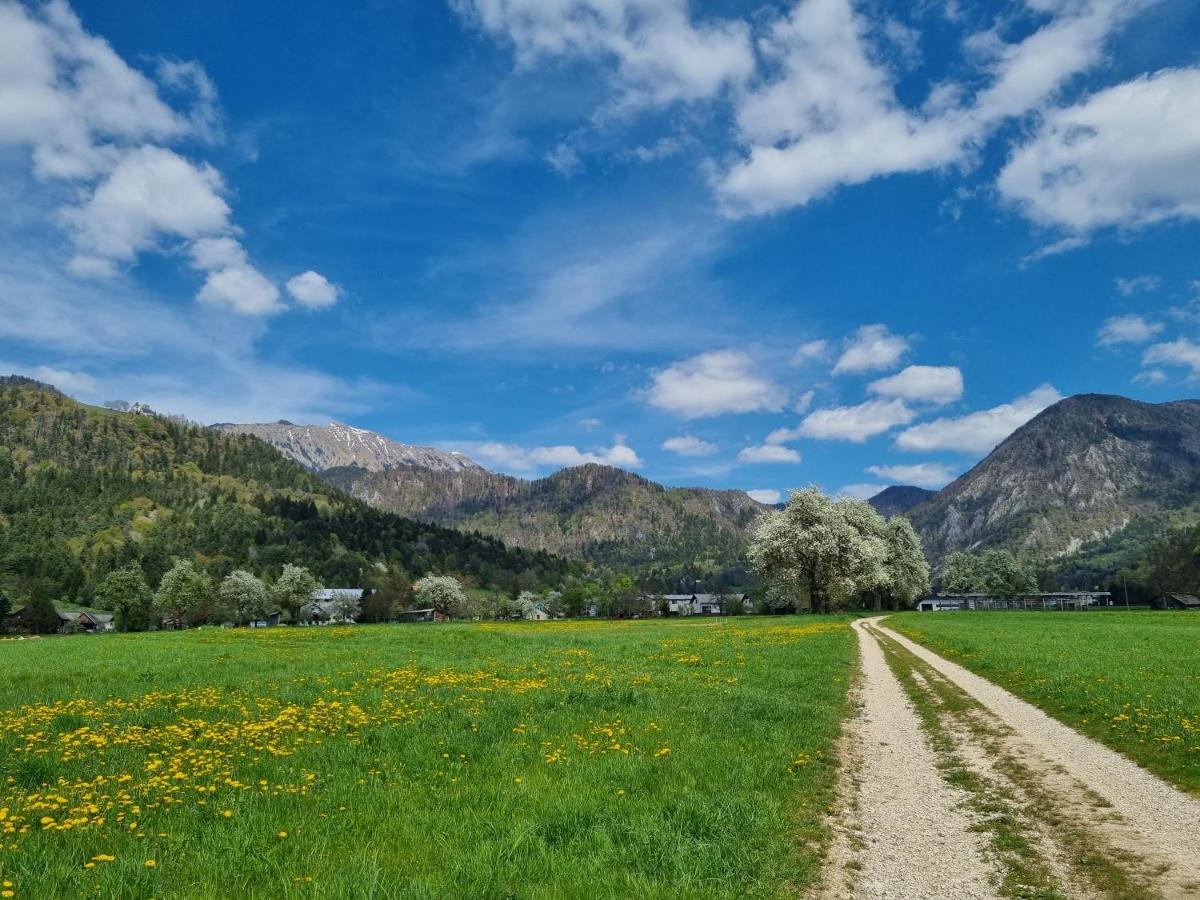 Apartma Ana In Manca * Begunje